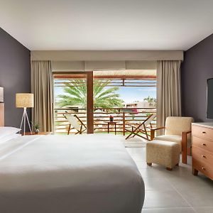King Suite Terrace Garden View